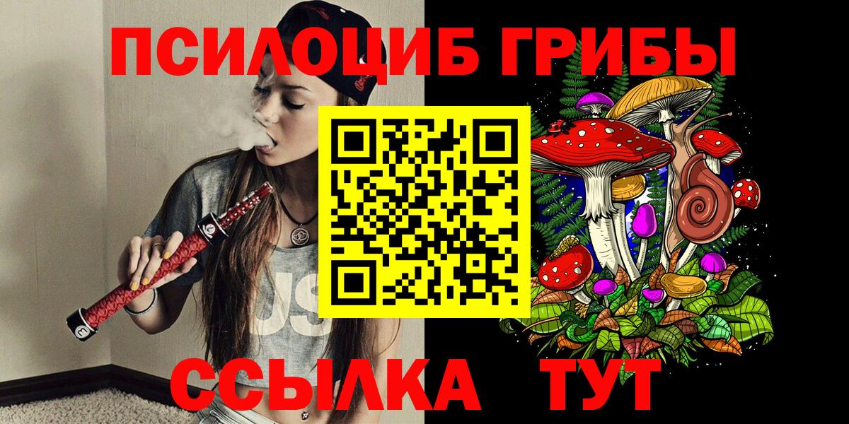 Курчалой  Галлюциногенные грибы GOLDEN TEACHER  Вход с VPN 